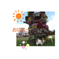 [LINEスタンプ] ぱぴぱぴパピヨン
