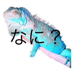 [LINEスタンプ] 我が家のゆかいな動物さん