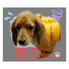 [LINEスタンプ] チョコあられ日和2