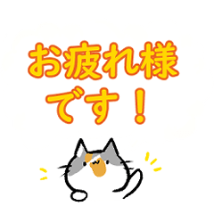 [LINEスタンプ] デカ文字！毎日使えるあいさつスタンプ！