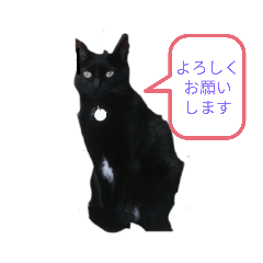 [LINEスタンプ] my nagisa
