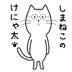 [LINEスタンプ] しまねこのけにゃ太