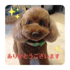 [LINEスタンプ] pola9 丁寧