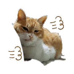 [LINEスタンプ] おやこちゃん2