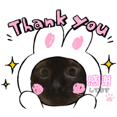 [LINEスタンプ] 三男z  3rd