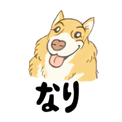 [LINEスタンプ] 名犬きららとゆかいな仲間たち