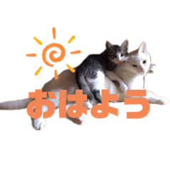 [LINEスタンプ] 可愛いみーたんくーたんスタンプ