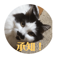 [LINEスタンプ] ふうたん＆ちゃたろう 2