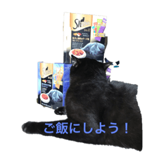[LINEスタンプ] そらスタンプ(´・ω・｀)