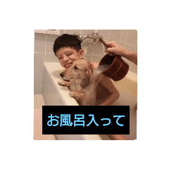 [LINEスタンプ] 家族と友達の連絡