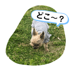 [LINEスタンプ] りっちゃんとスタンプ