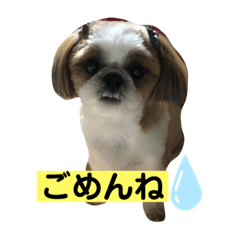 [LINEスタンプ] みんなの快くん8