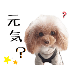 [LINEスタンプ] アッちゃんスタンプ