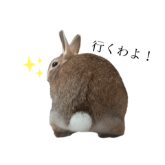 うさぎのもねさん