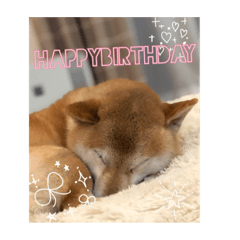 [LINEスタンプ] ジュジュの気持ち