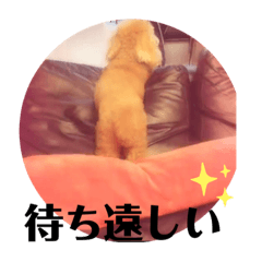 [LINEスタンプ] pola10
