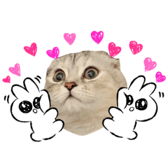 [LINEスタンプ] ぷりちゃんpurin