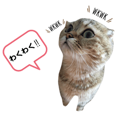 [LINEスタンプ] レムりんの1日②