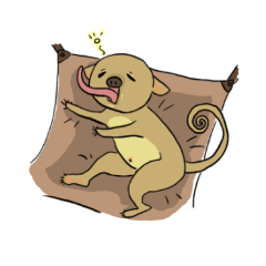 [LINEスタンプ] キンカジュー くうちゃん