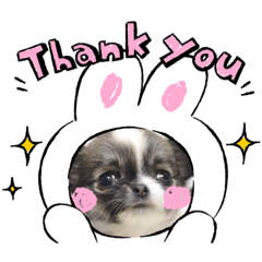 [LINEスタンプ] 我が家のわんこのれおちぇーるてぃにょん