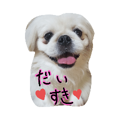 [LINEスタンプ] mydey