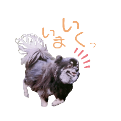 [LINEスタンプ] なっつ♡ぴのんコラボスタンプ