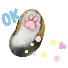 [LINEスタンプ] 猫夢10