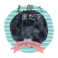 [LINEスタンプ] ラクくん