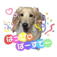 [LINEスタンプ] まいにち はっぴぃ♡3