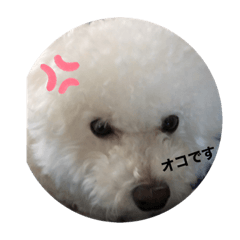 [LINEスタンプ] モフモフのモチ