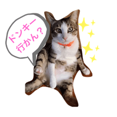 [LINEスタンプ] サスケくんの九州弁