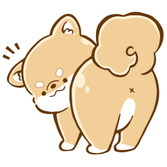[LINEスタンプ] かわいい柴犬さんのスタンプの画像（メイン）