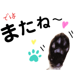 [LINEスタンプ] ♡にゃんず3♡