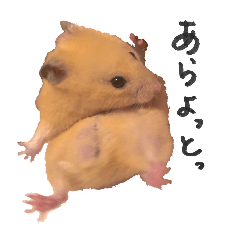 [LINEスタンプ] ルーン君のひとこと。2