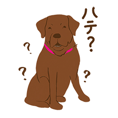 [LINEスタンプ] チョコラブKoaちゃんのLINEスタンプ