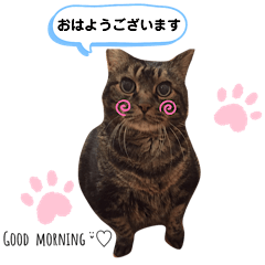 [LINEスタンプ] キキ＆マロンの1日