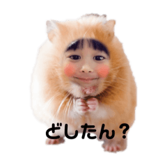 [LINEスタンプ] 民宿しぶや①