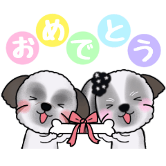 [LINEスタンプ] 可愛いシーズーアニメ画スタンプ