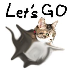 [LINEスタンプ] 加工ネコ2