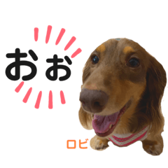 [LINEスタンプ] ロビたんスタンプ パートすり〜