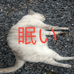 [LINEスタンプ] 眠る猫