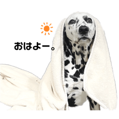 [LINEスタンプ] ダルメシアンぶっち。