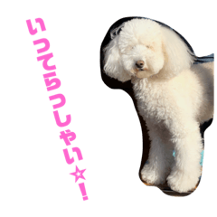 [LINEスタンプ] ゆかいななかまたち___1