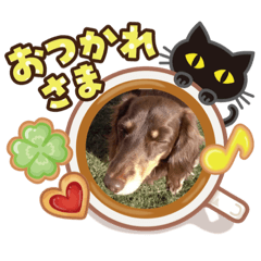 [LINEスタンプ] チャタロースタンプ第1段