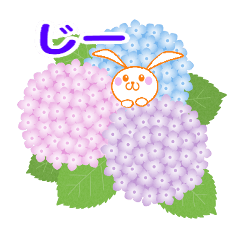 [LINEスタンプ] 紫陽花と友達