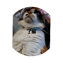 [LINEスタンプ] おやこちゃん