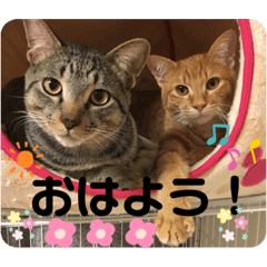 [LINEスタンプ] うるちゃとスタンプ2