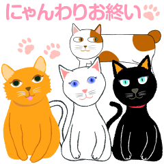 [LINEスタンプ] にゃんわりお終い