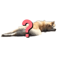 [LINEスタンプ] アランとこはる