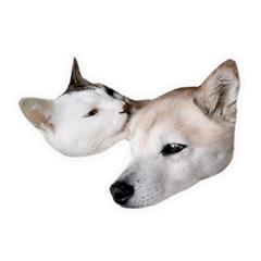 [LINEスタンプ] なかよし茶々福